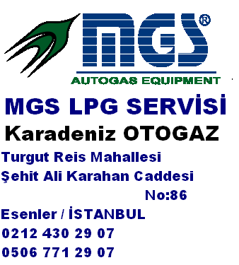 MGS LPG SERVİSİ İSTANBUL ESENLER